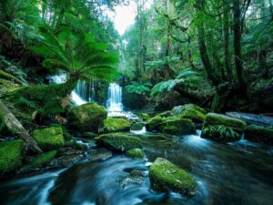 Природа Тасмании фото